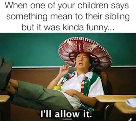23 Funny Sibling Memes to Showcase That Loving .